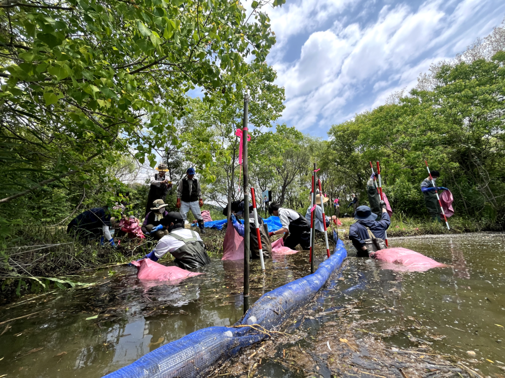 常葉大学・地元団体との連携
水上の群落の駆除