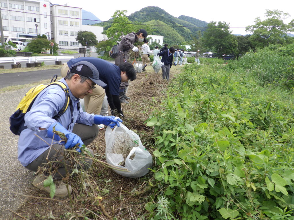 周囲堤の集草・整備